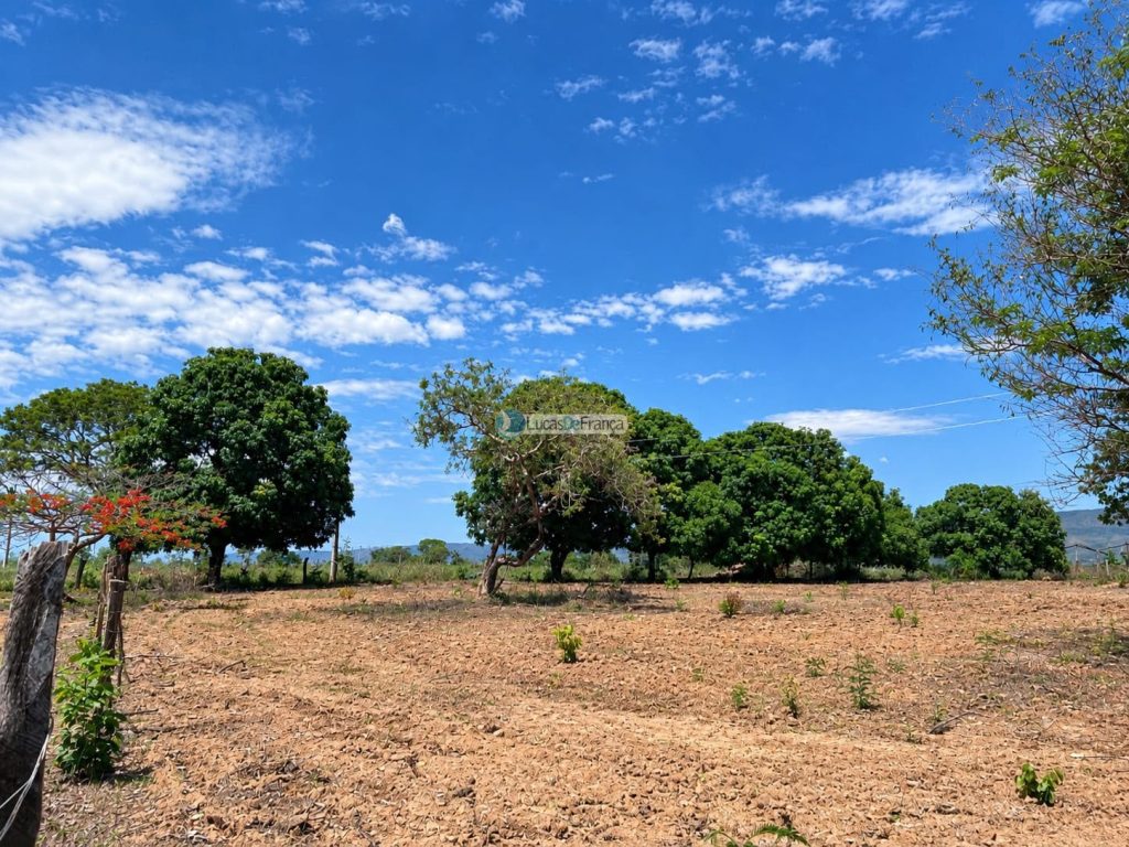 Propriedade Rural -14 Hectares (16)