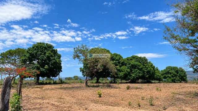 Propriedade Rural -14 Hectares