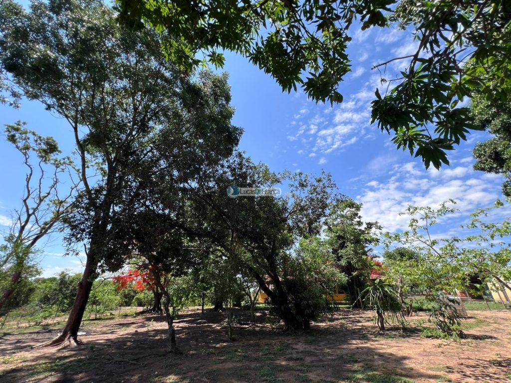 Propriedade Rural -14 Hectares (18)