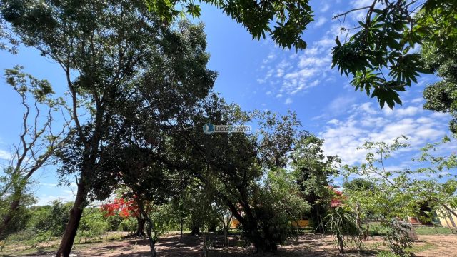 Propriedade Rural -14 Hectares