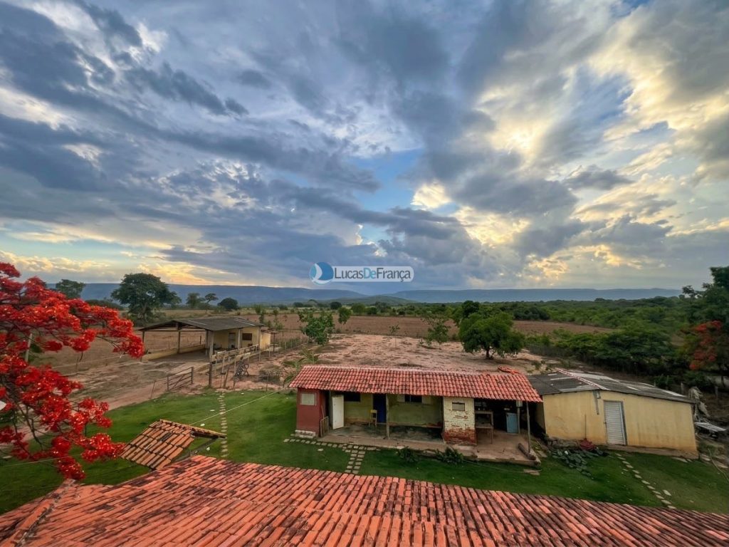 Propriedade Rural -14 Hectares (5)