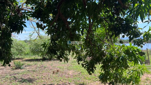 Propriedade Rural -14 Hectares