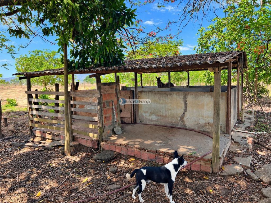Propriedade Rural -14 Hectares (8)